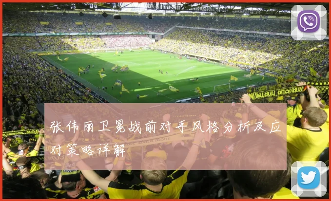 张伟丽卫冕战前对手风格分析及应对策略详解